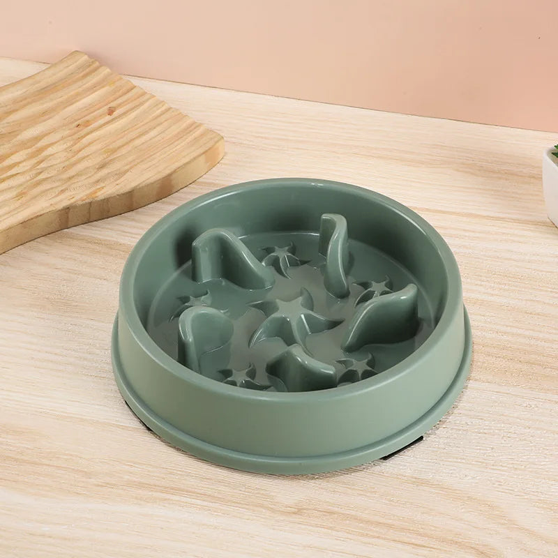 Anti-Slip Slow Feeder Bowl