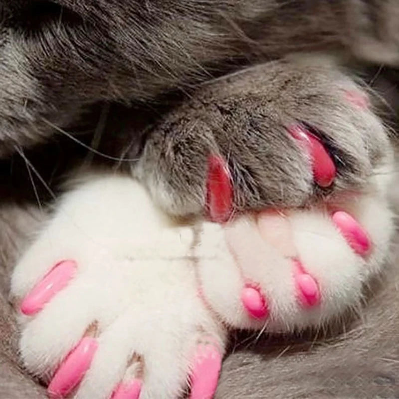 Soft Pet Nail Caps