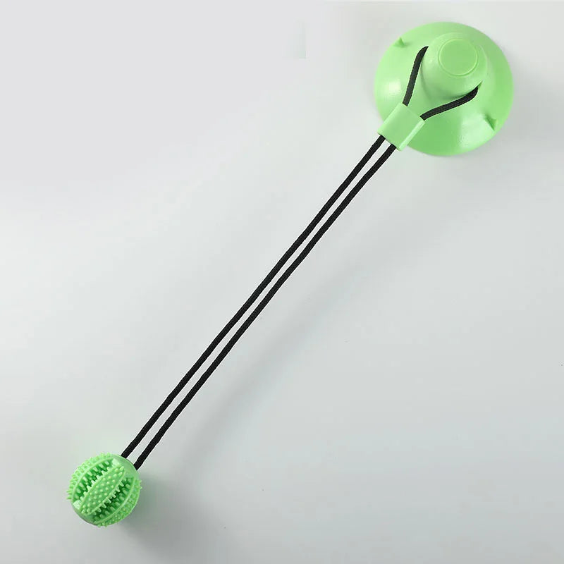 Suction Cup Chew Toy