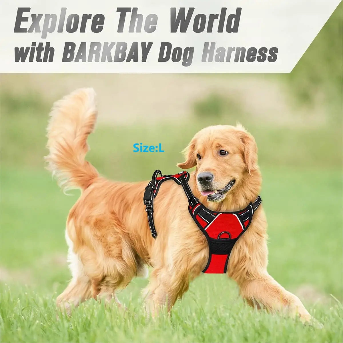 No-Pull Dog Harness