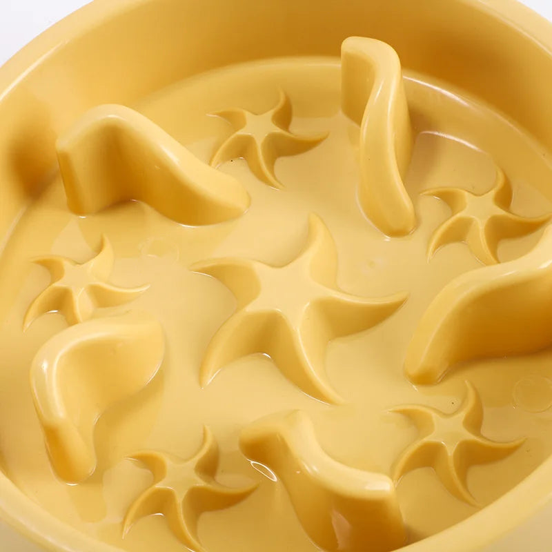 Anti-Slip Slow Feeder Bowl