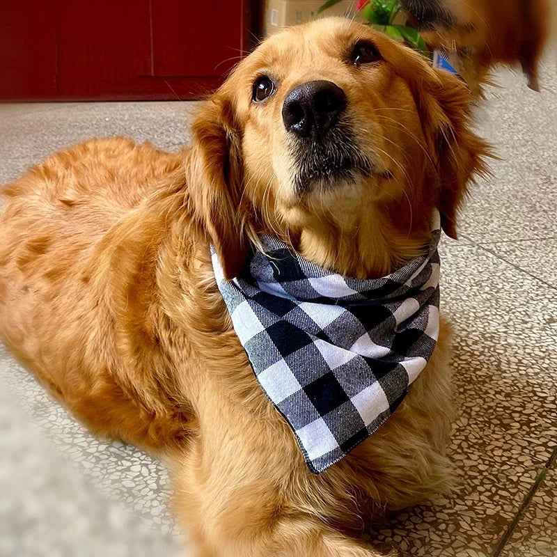 Plaid Dog Bandana
