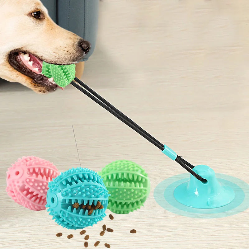 Suction Cup Chew Toy