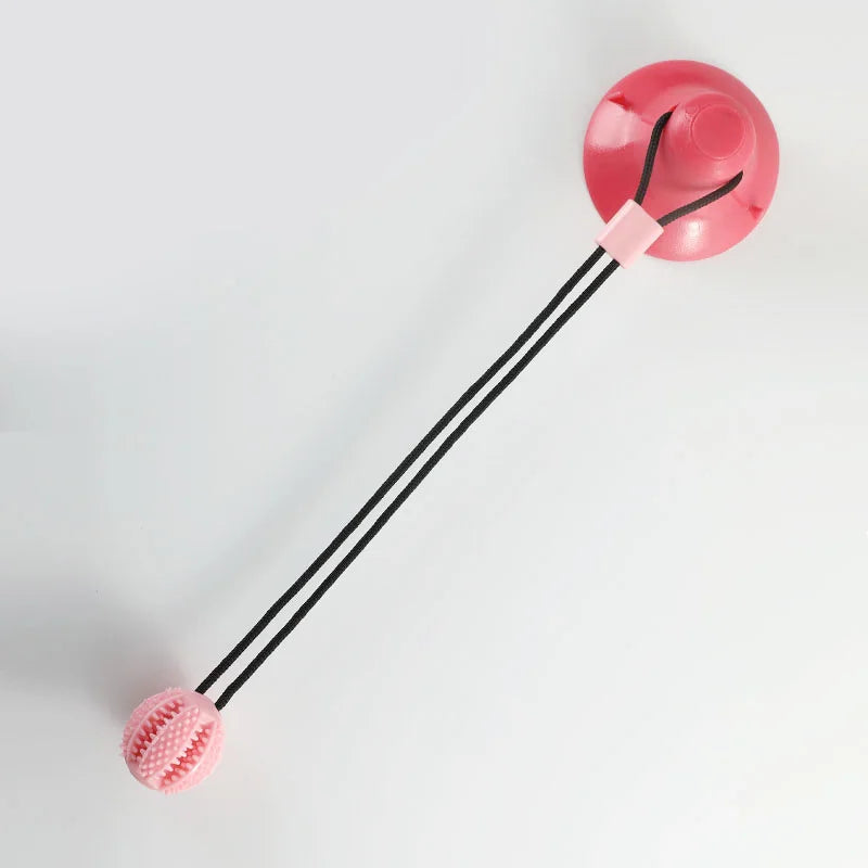 Suction Cup Chew Toy
