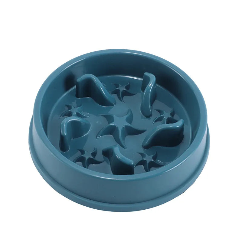 Anti-Slip Slow Feeder Bowl