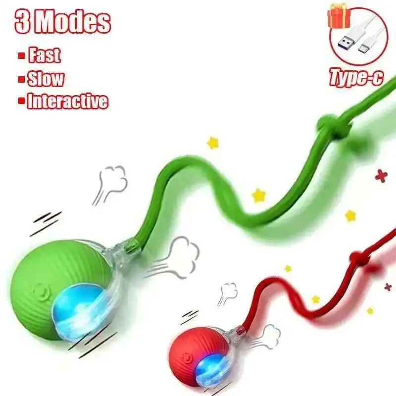 Smart Rolling Pet Ball