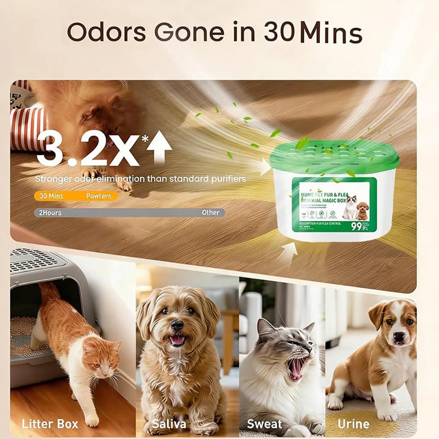 Litter Box Odor Eliminator