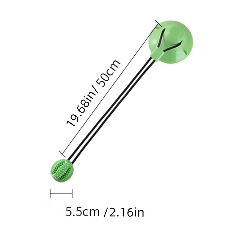Suction Cup Chew Toy
