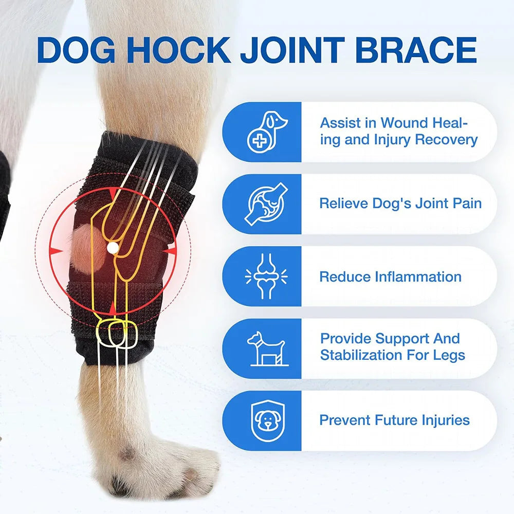 Dog Knee Protector Pads