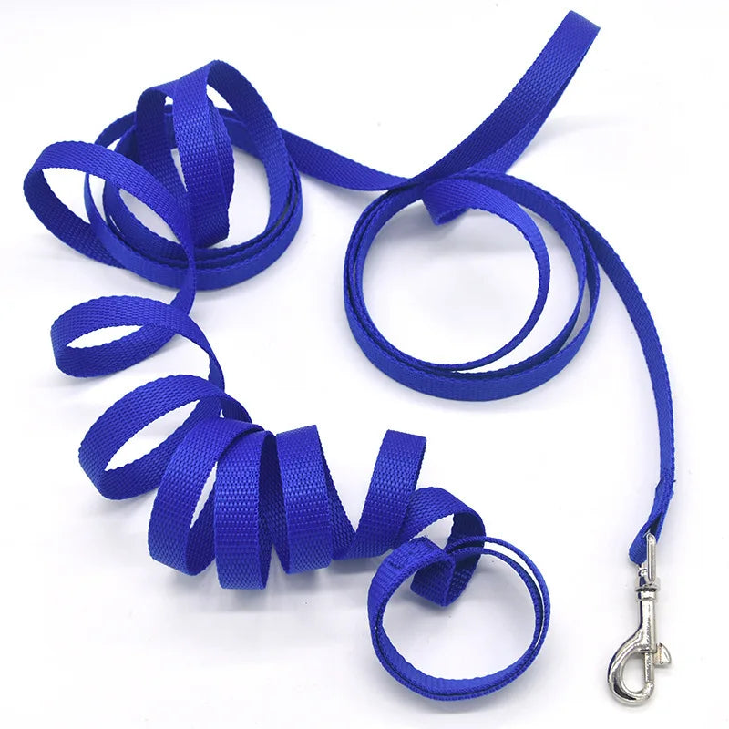 Long Training Leash