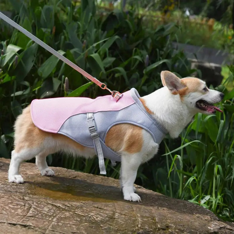 Dog Cooling Vest