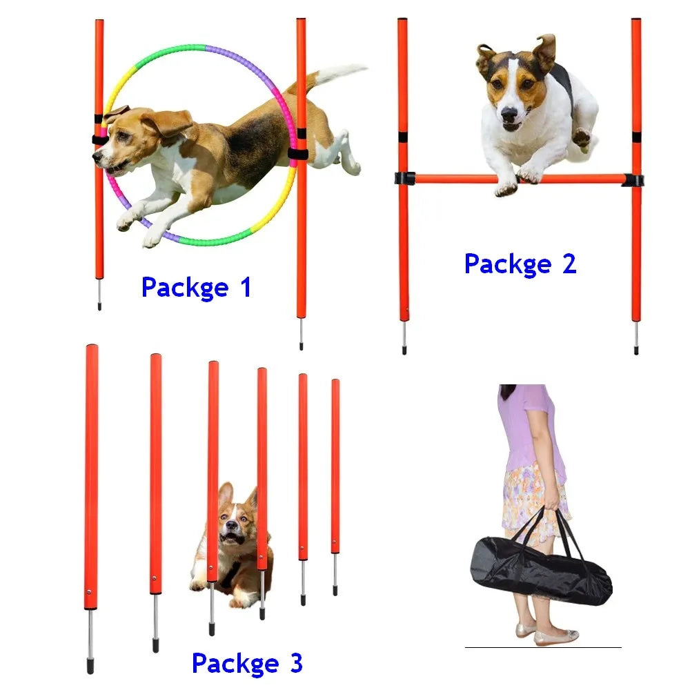 Dog Agility Training Kit