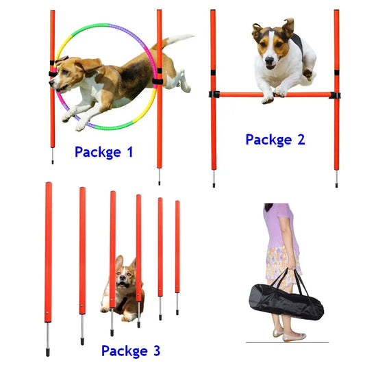 Dog Agility Training Kit