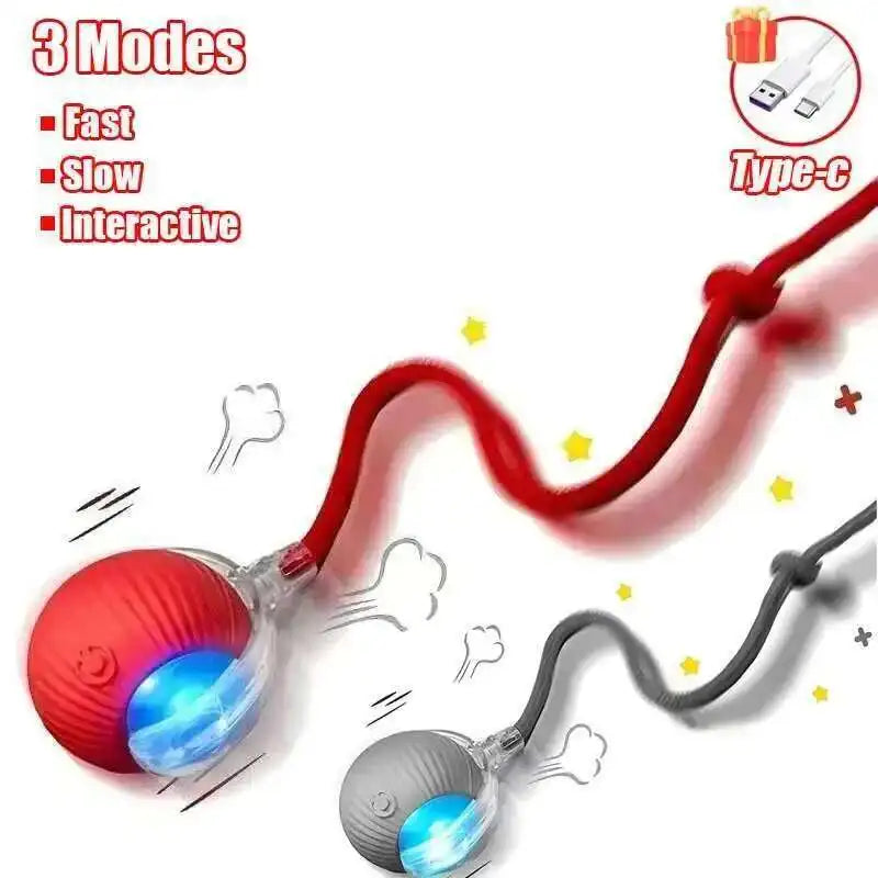 Smart Rolling Pet Ball