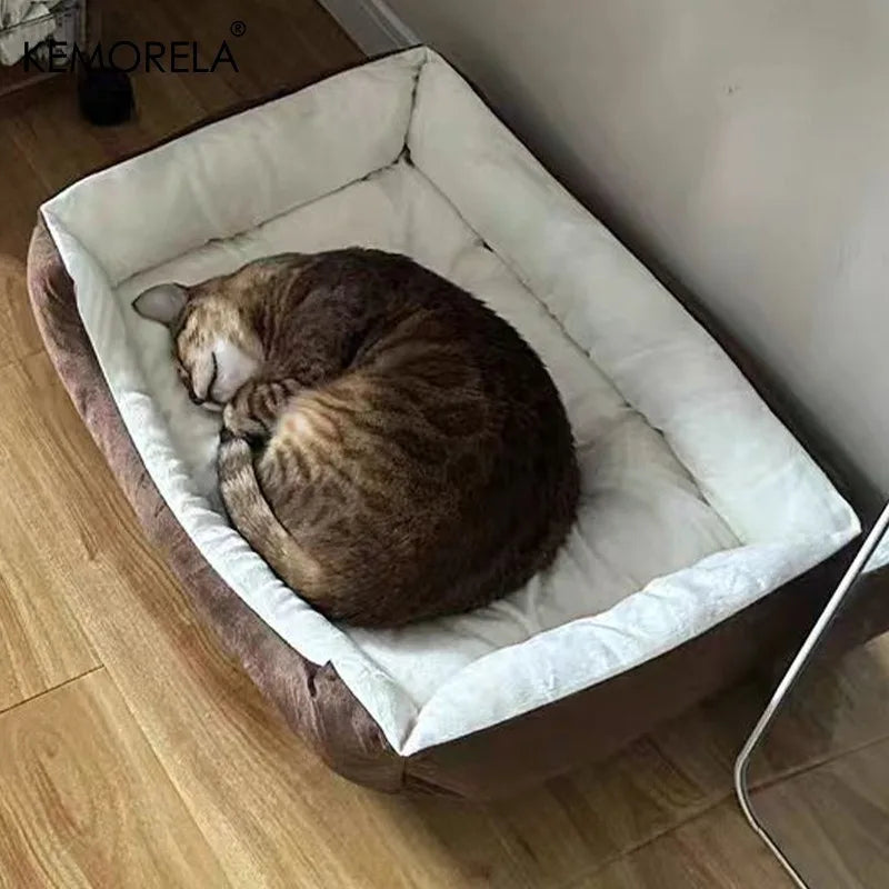 Orthopedic Plush Dog Bed