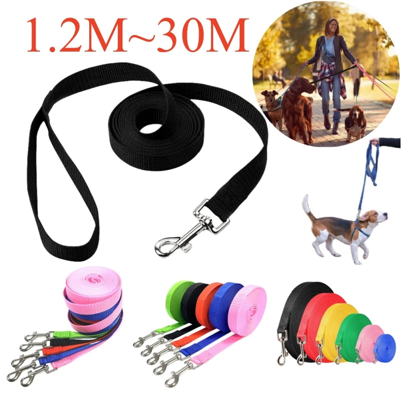 Long Training Leash
