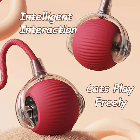 Smart Rolling Pet Ball