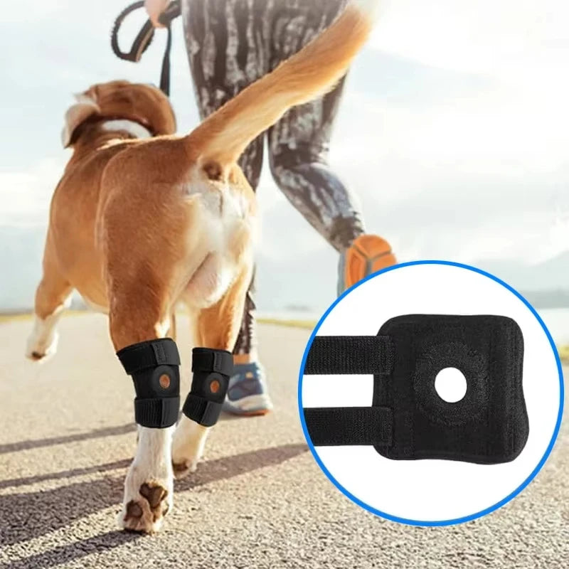 Dog Knee Protector Pads