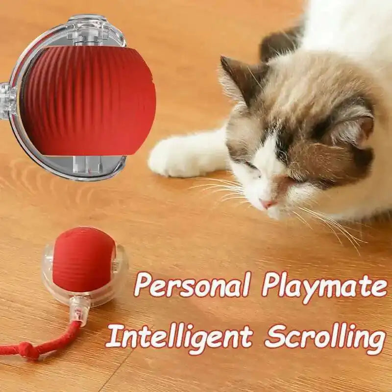 Smart Rolling Pet Ball