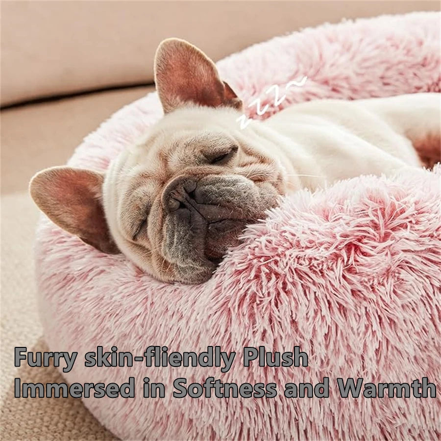 Donut Cat Bed