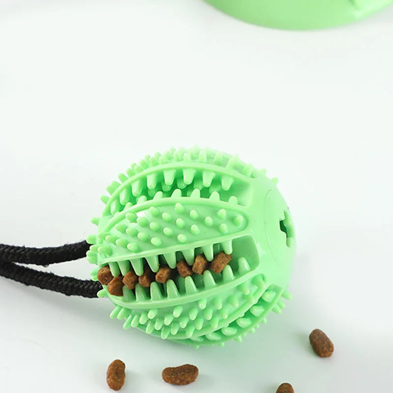 Suction Cup Chew Toy
