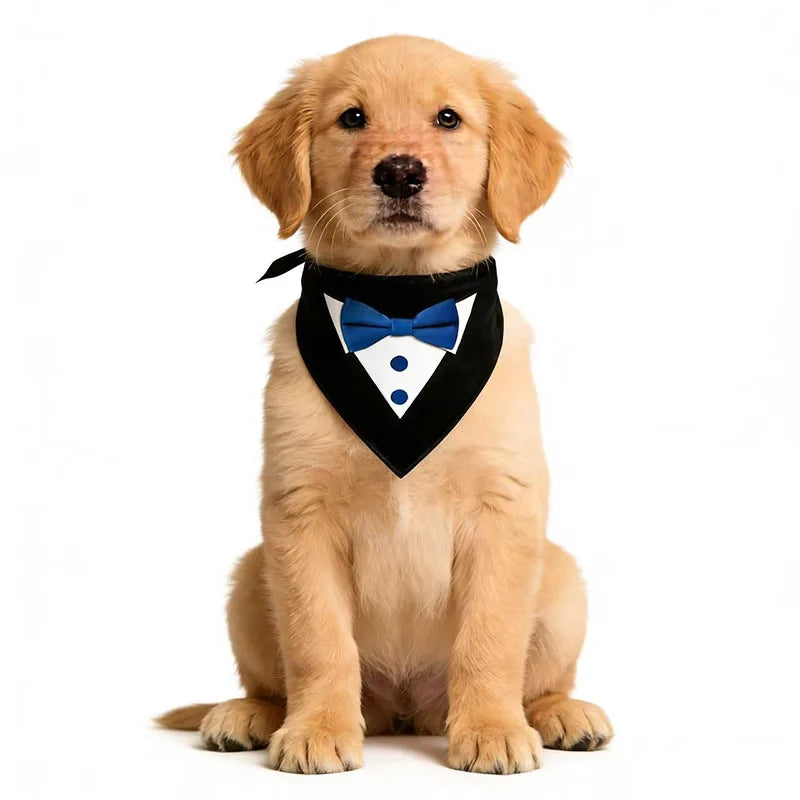 Tuxedo Bandana with Bow Tie