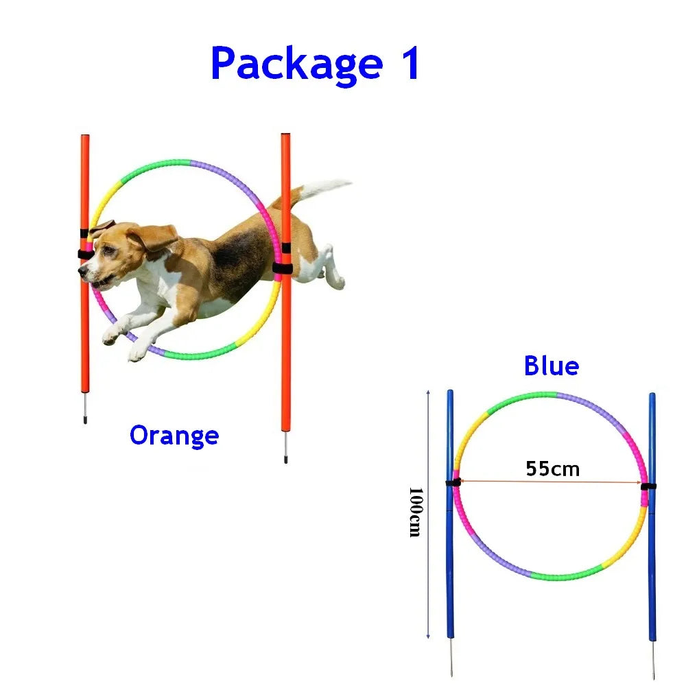 Dog Agility Training Kit