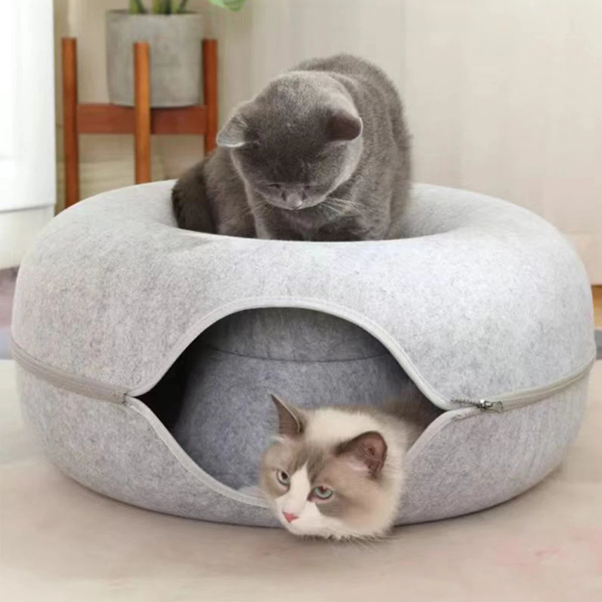 Donut Cat Bed & Tunnel