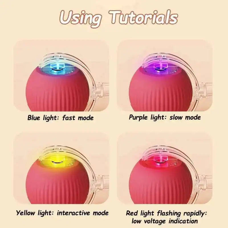 Smart Rolling Pet Ball