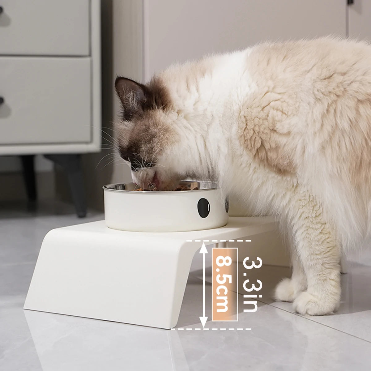Elevated Dual Pet Feeder