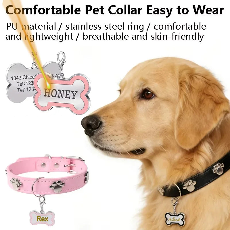 Engraved Pet ID Collar
