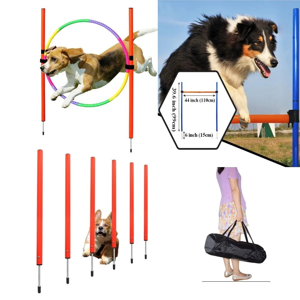 Dog Agility Training Kit