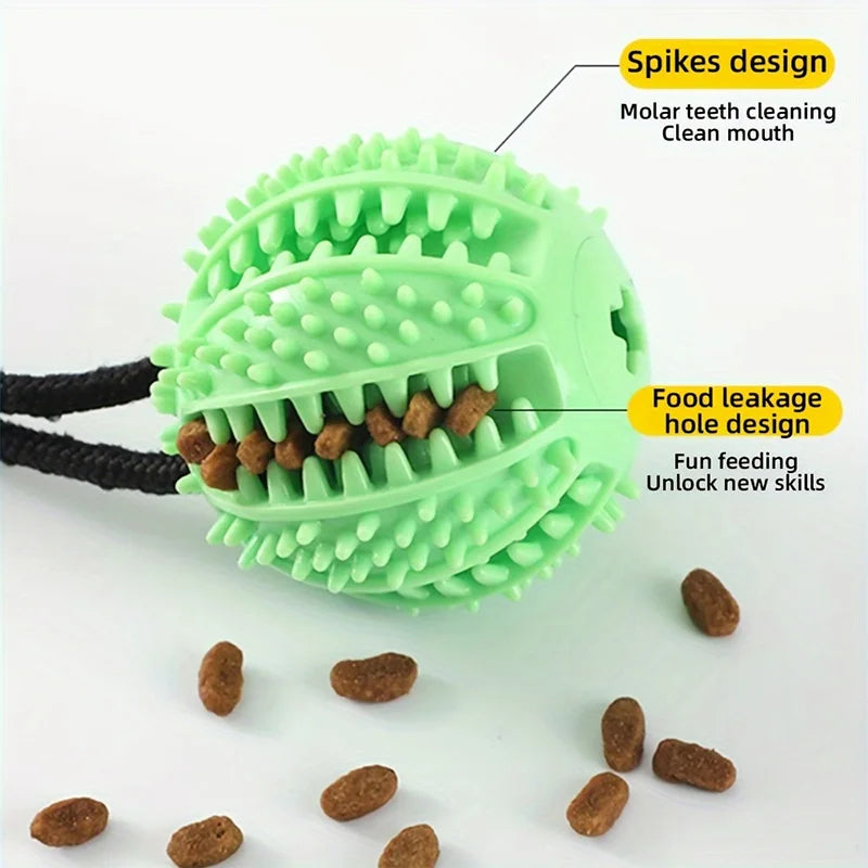 Suction Cup Chew Toy