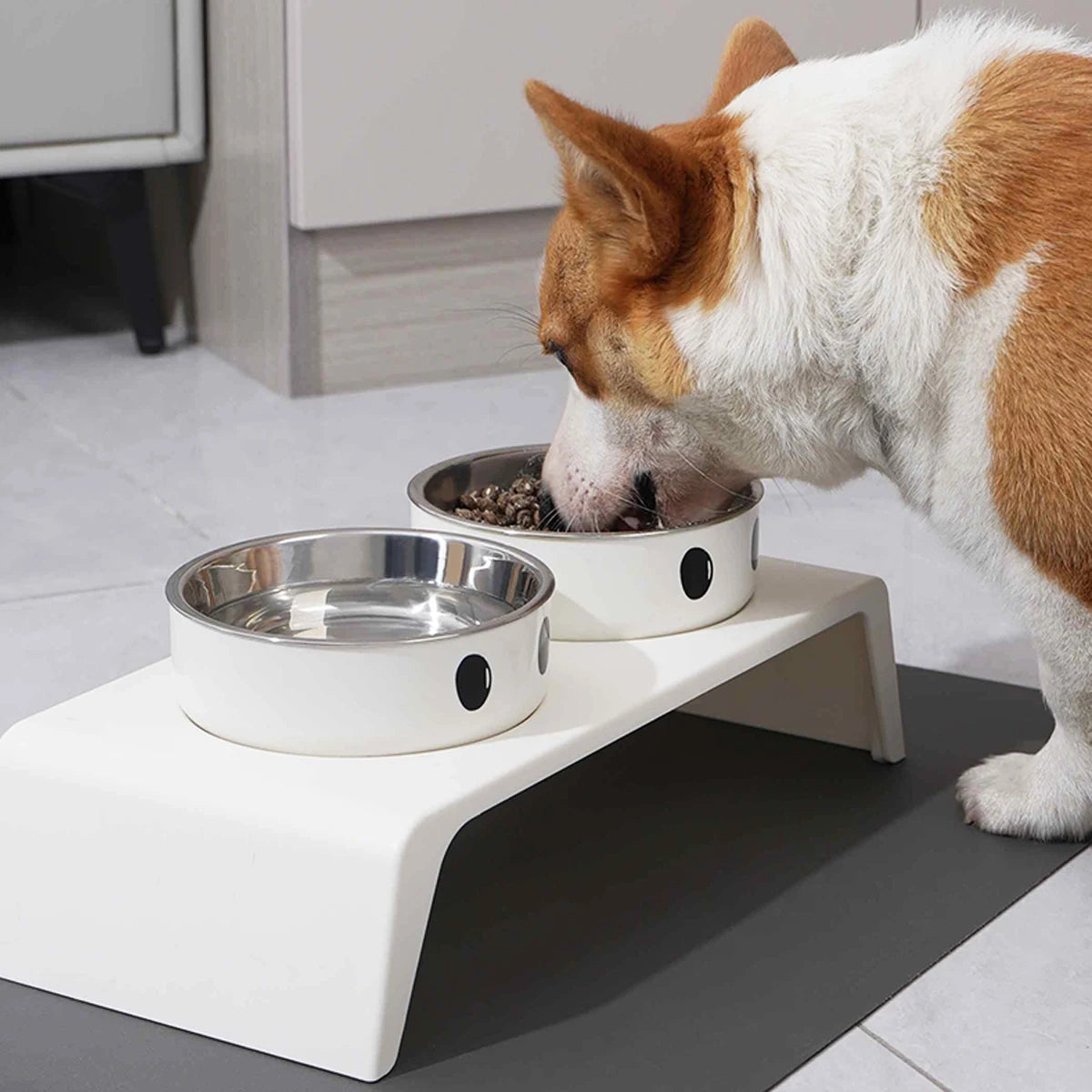 Elevated Dual Pet Feeder