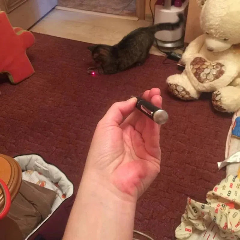 Laser Pointer Cat Toy