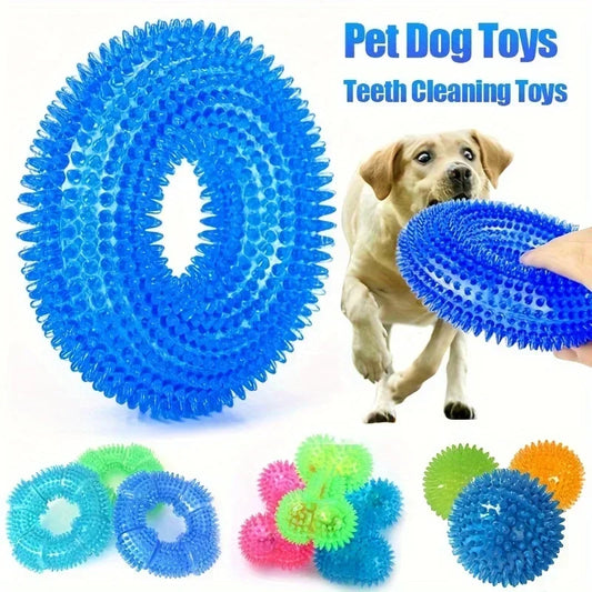 Squeaky Chew Ball