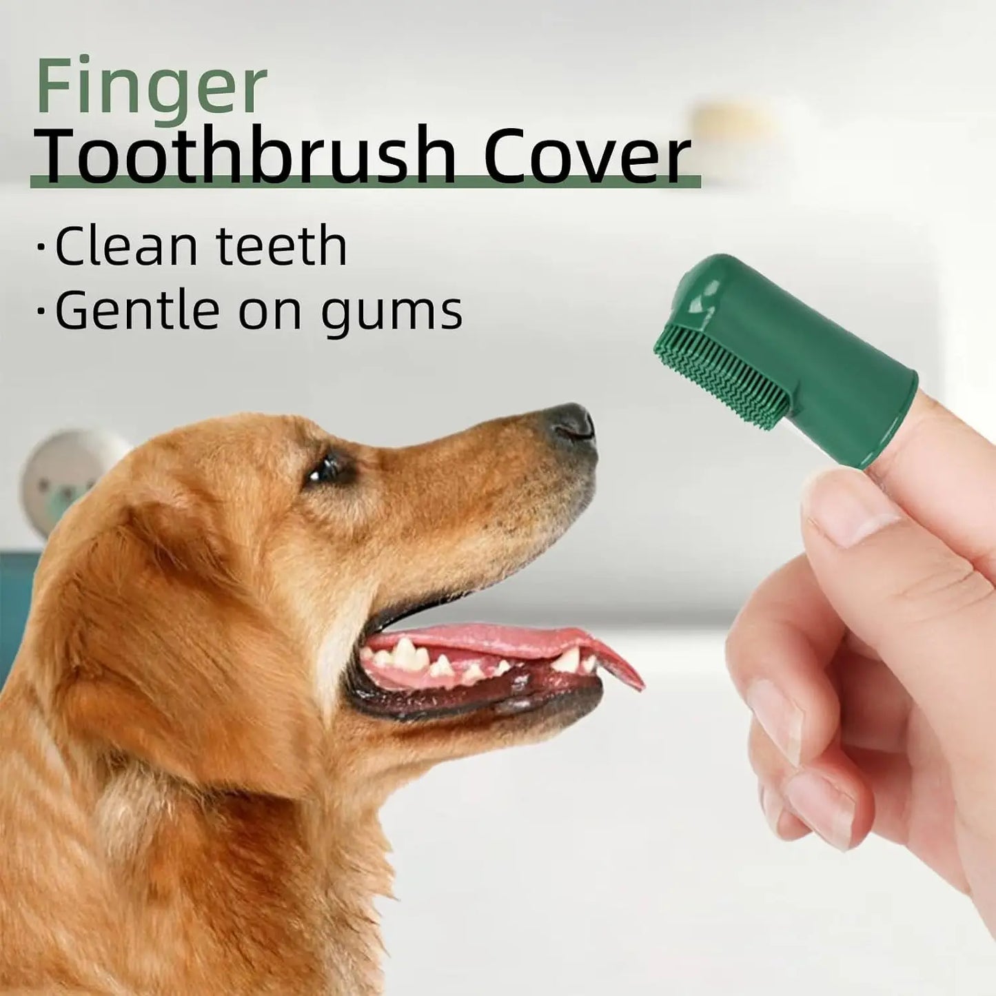 Pet Dental Care Kit