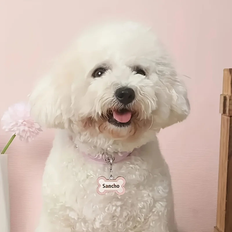 Engraved Pet ID Collar