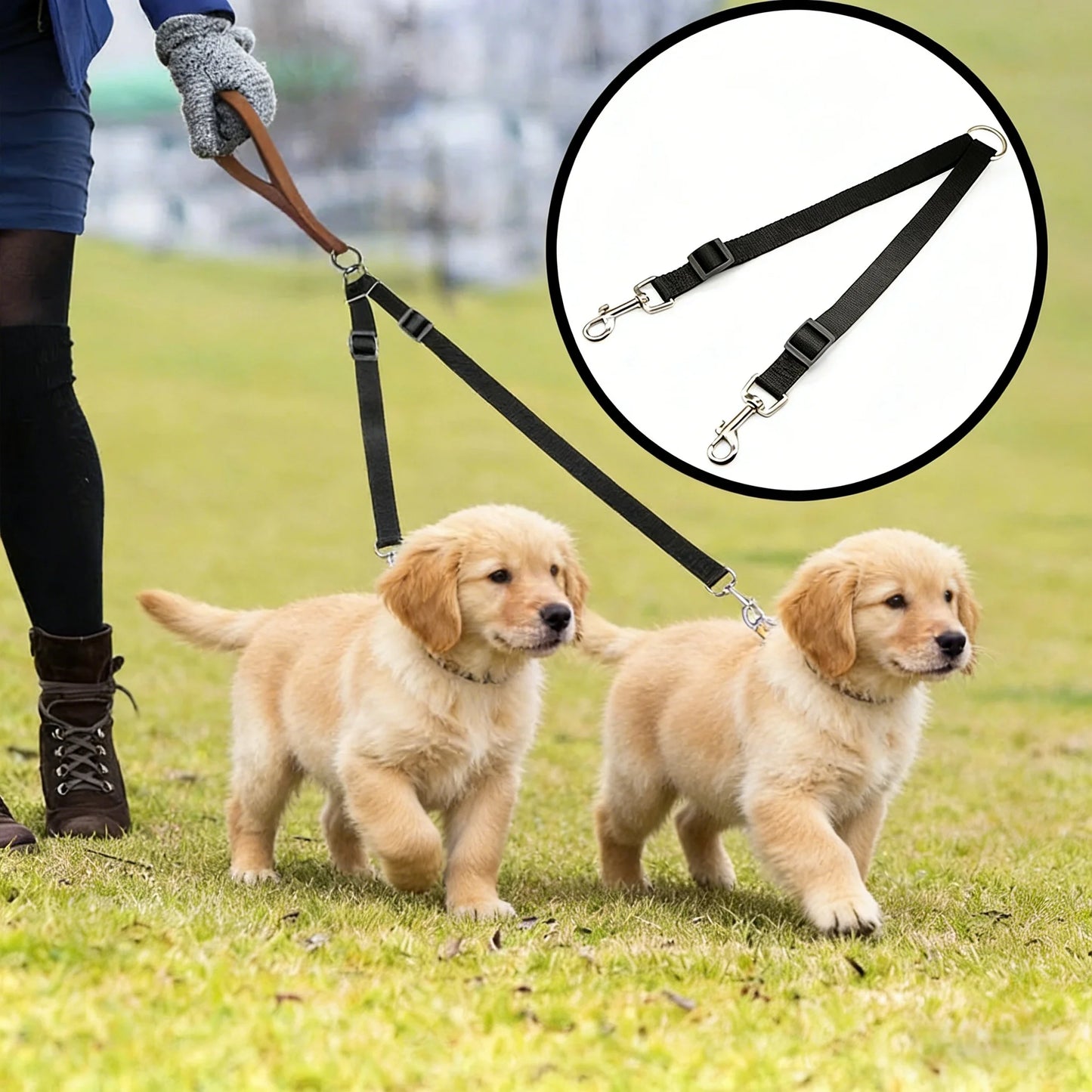 Double Dog Walking Leash