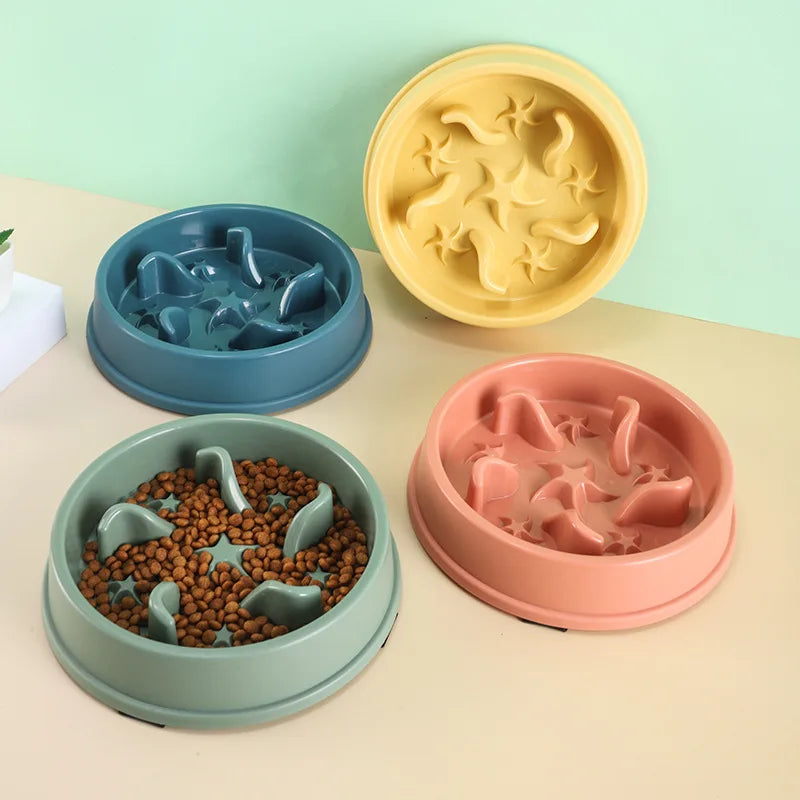 Anti-Slip Slow Feeder Bowl