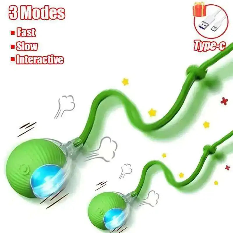 Smart Rolling Pet Ball