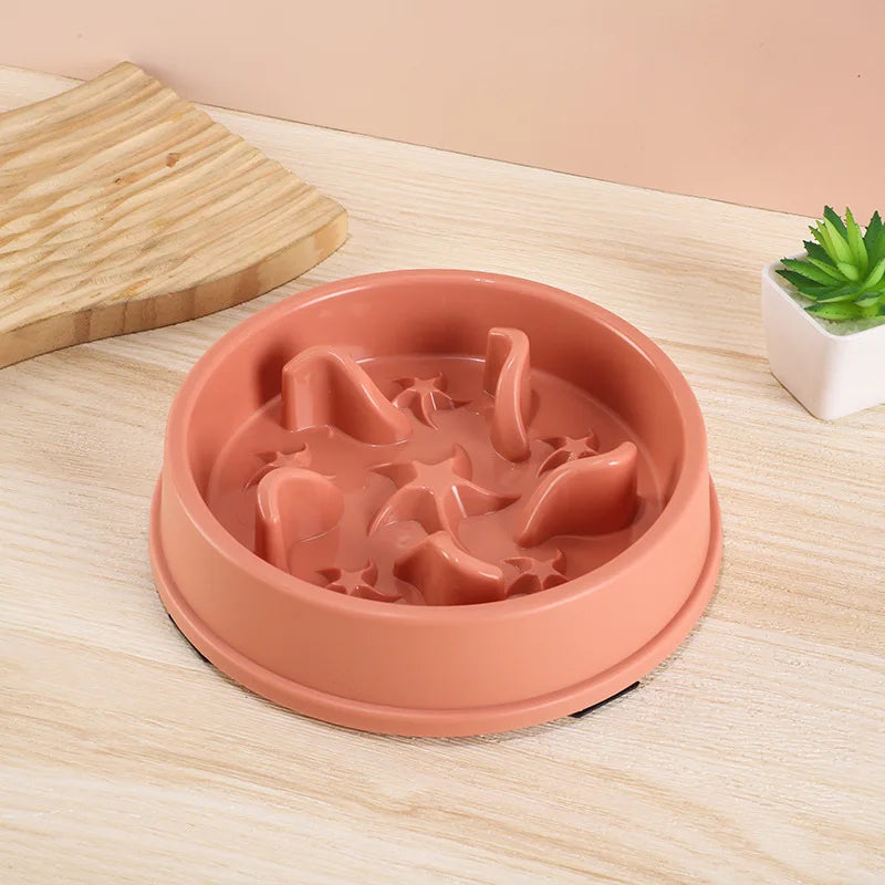 Anti-Slip Slow Feeder Bowl