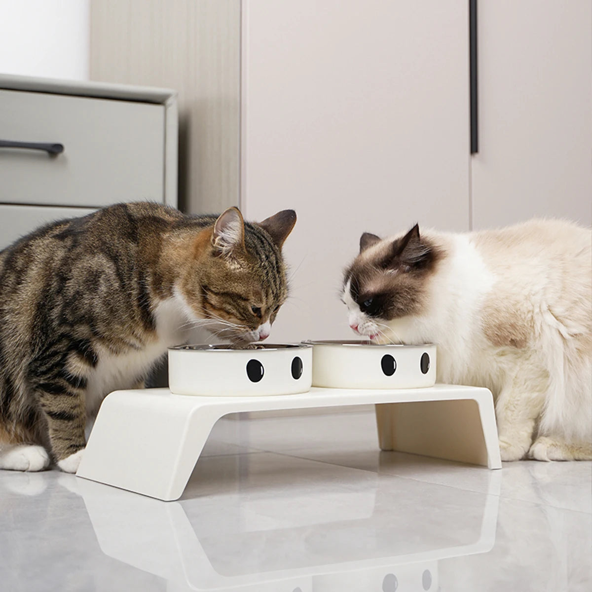 Elevated Dual Pet Feeder
