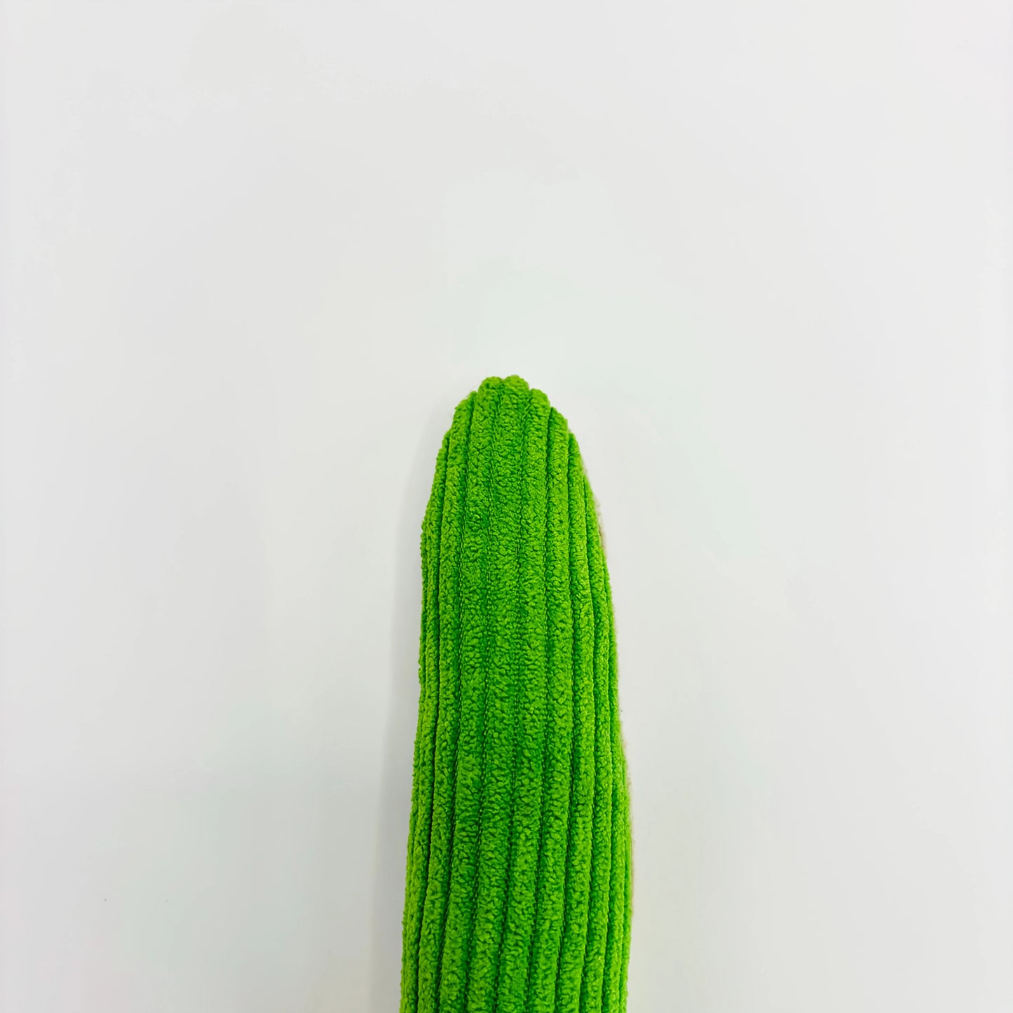 Crinkle Snake Cat Toy