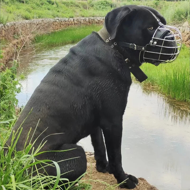 Adjustable Basket Muzzle