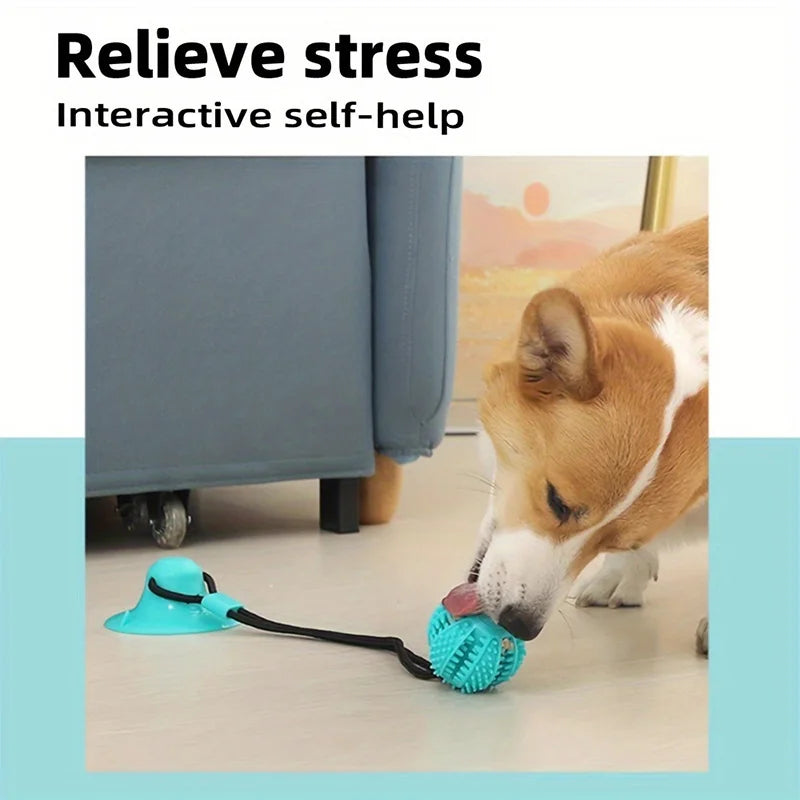 Suction Cup Chew Toy