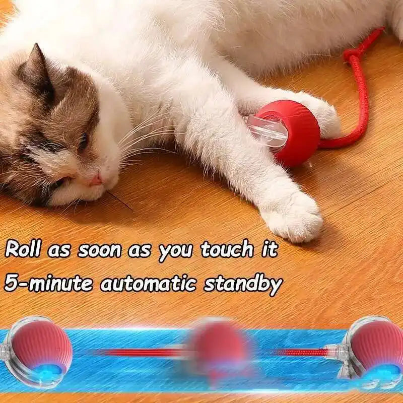 Smart Rolling Pet Ball