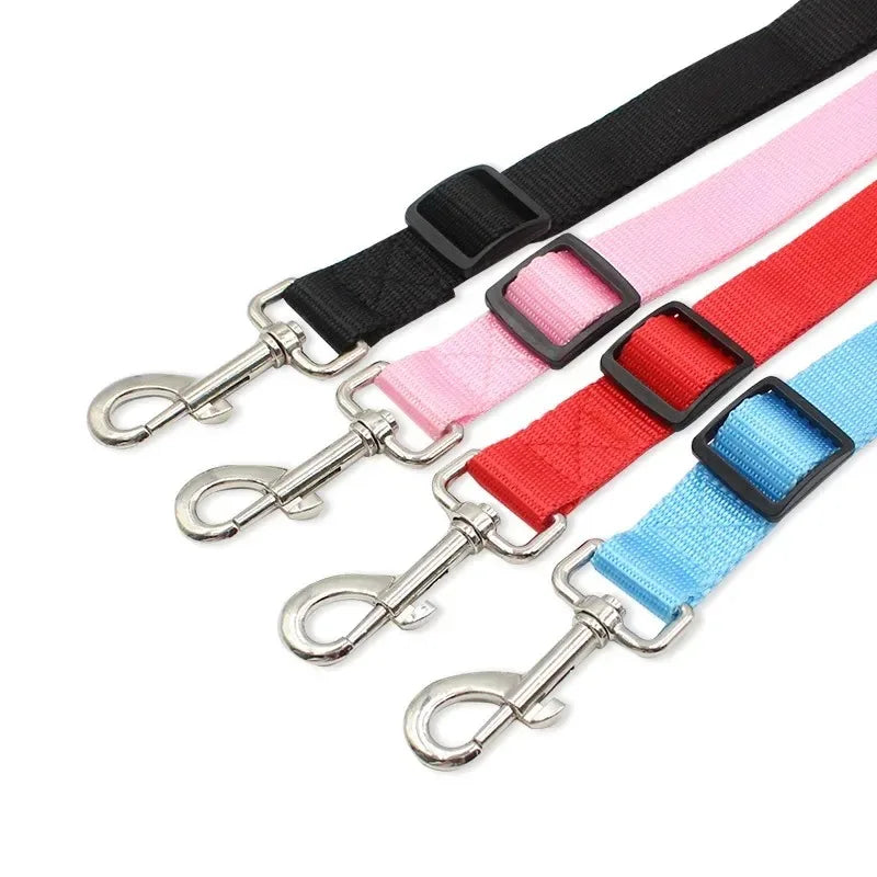 Double Dog Walking Leash