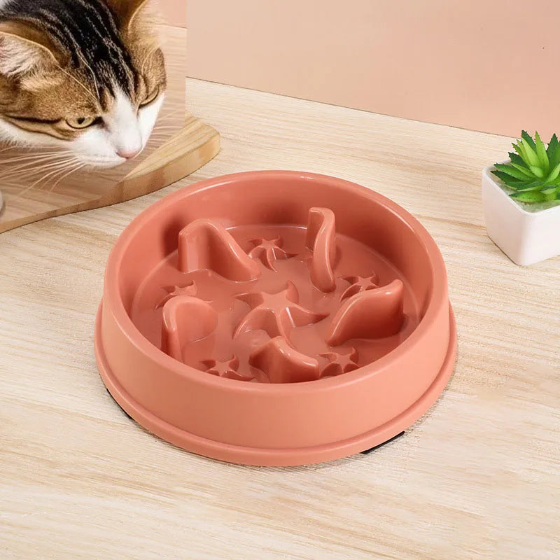 Anti-Slip Slow Feeder Bowl