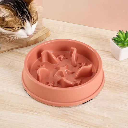 Anti-Slip Slow Feeder Bowl